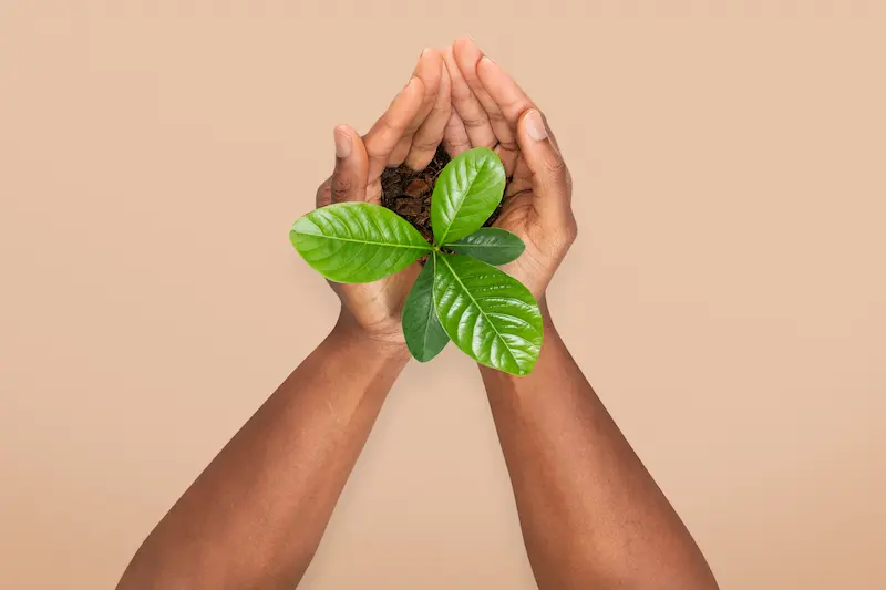 Heart representing a sustainable future